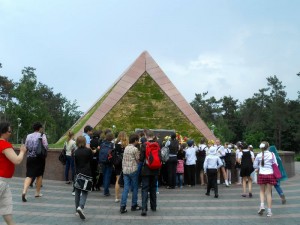 DSCN3353