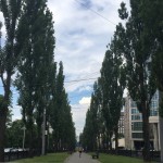 IMG_8897